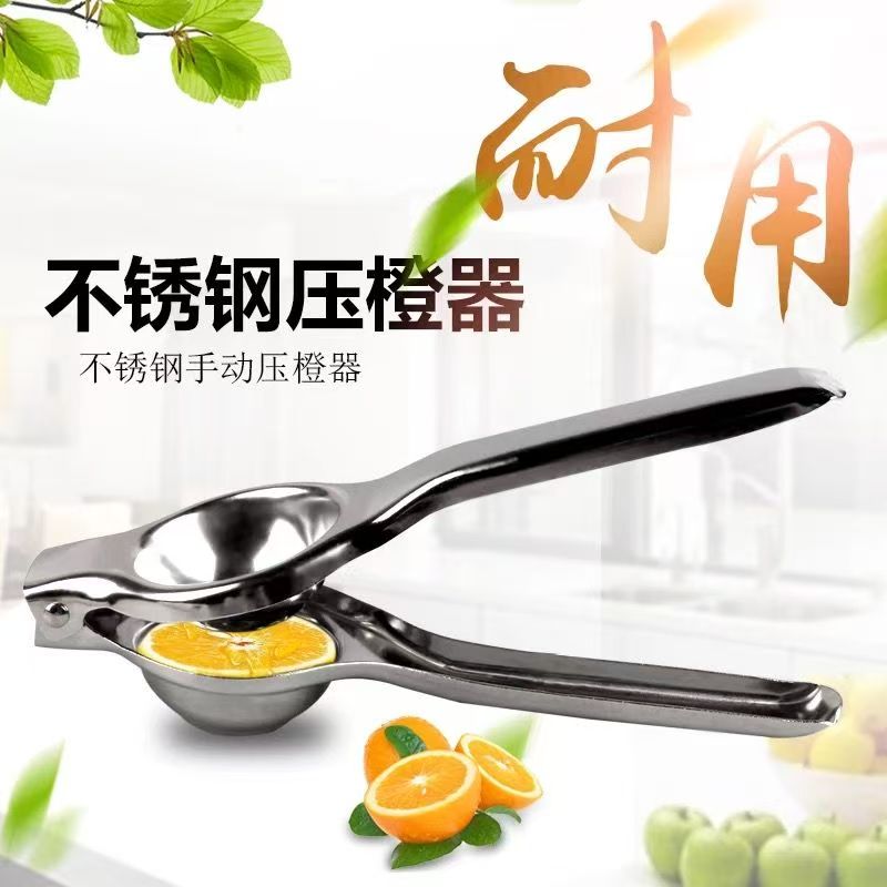Stainless Steel Garlic Press